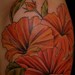 Tattoos - Hibiscus Flowers - 38011